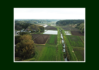 田舎の田んぼ